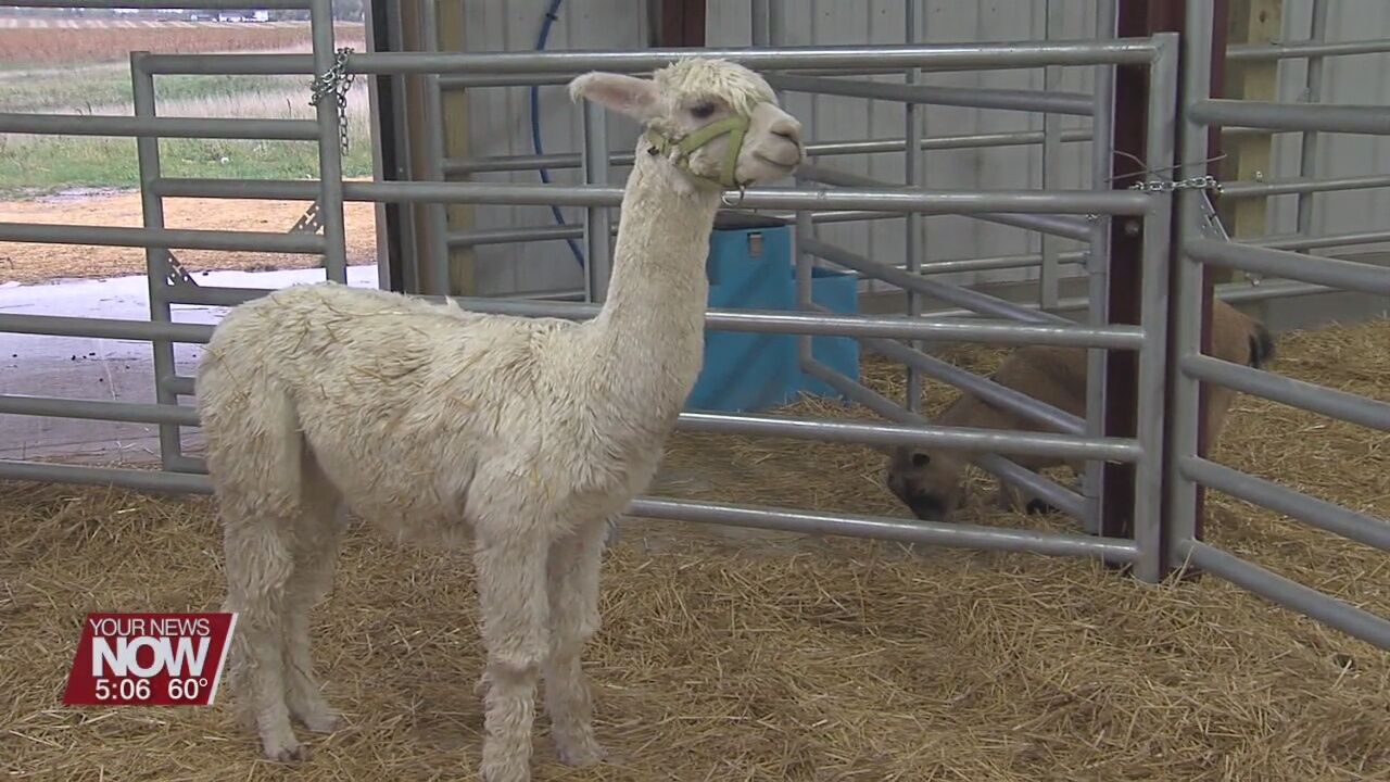 VAL-CO donates equipment to Tri Star's new animal health program barn